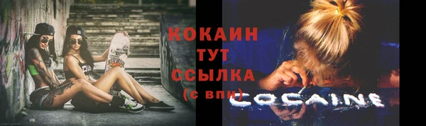 тгк Няндома