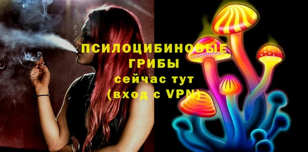 тгк Няндома