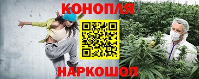 бошки Балашиха