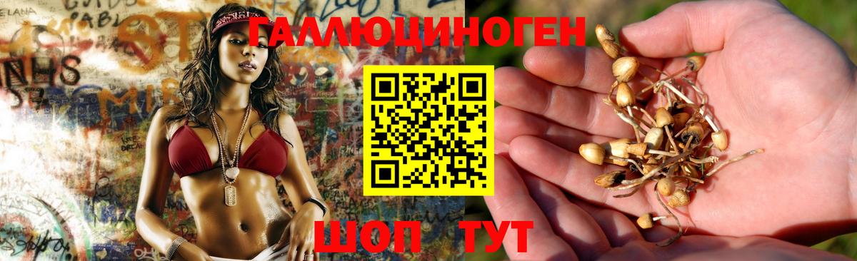 купить наркотики сайты  Псилоцибиновые грибы Magic Shrooms  Удомля  Псилоцибиновые грибы мухоморы 